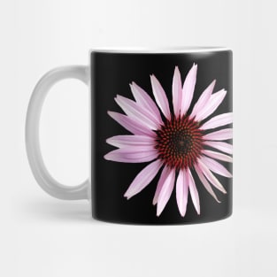 pink blooming coneflower, flower, petals, floral Mug